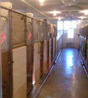 Canine Country Kennel
